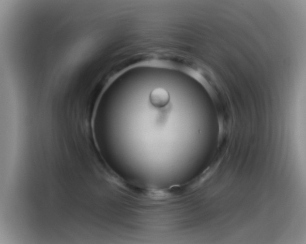 X0000114120429200910131407