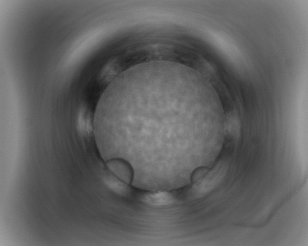 X0000114120431200910131407