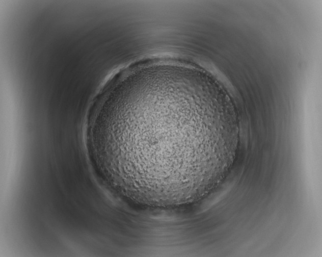 X0000114120434200910131407