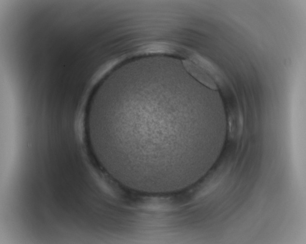 X0000114120436200910131407