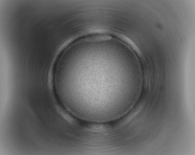 X0000114120439200910131407