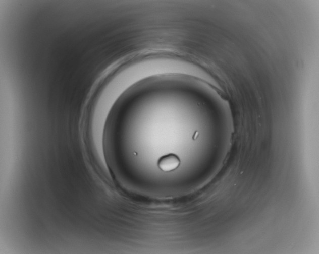 X0000114120440200910131407