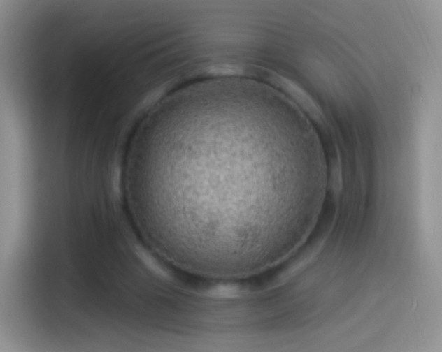 X0000114120441200910131407