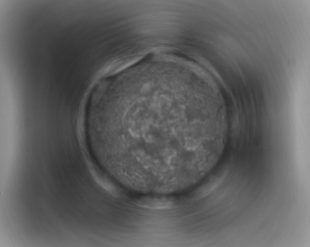 X0000114120443200910131407