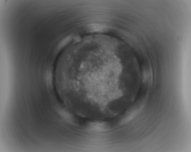 X0000114120444200910131407