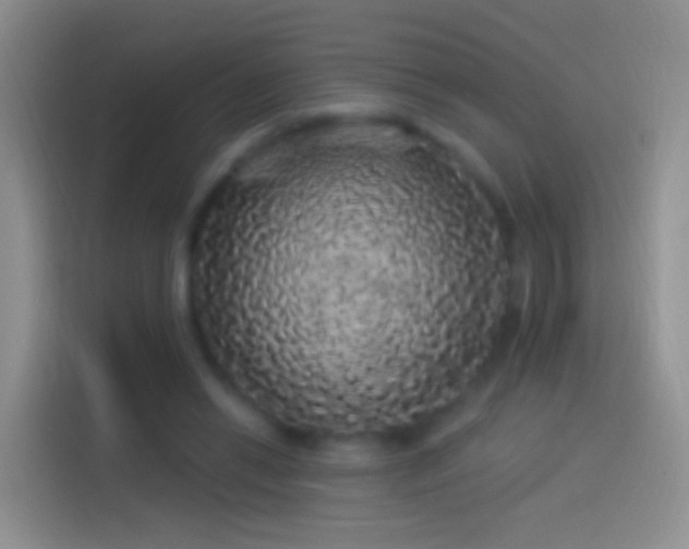 X0000114120446200910131407