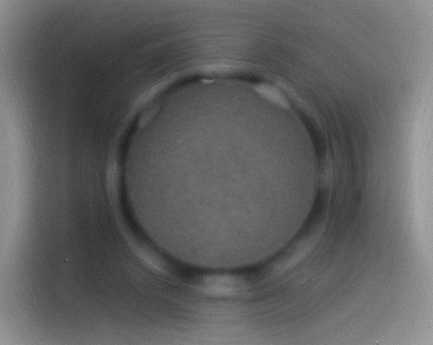 X0000114120448200910131407