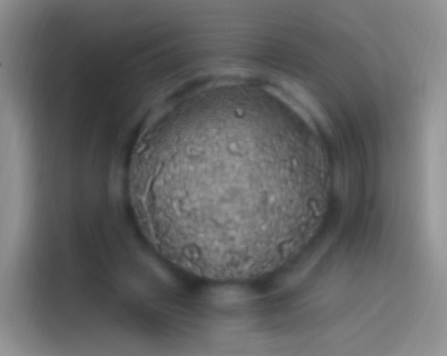 X0000114120449200910131407