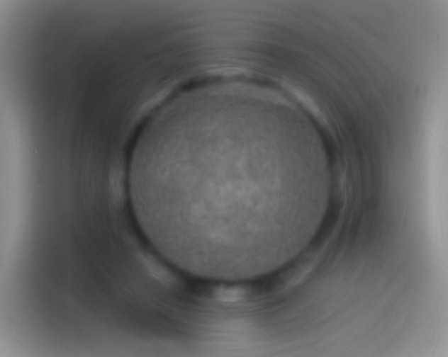 X0000114120450200910131407