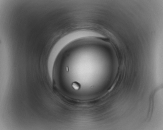 X0000114120452200910131407