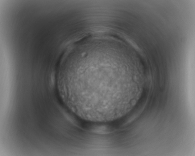 X0000114120454200910131407