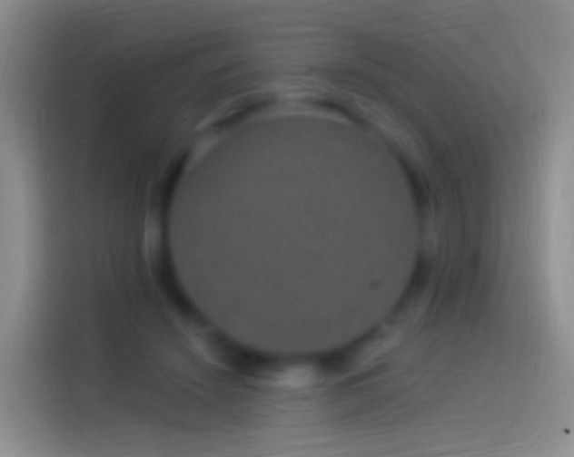 X0000114120456200910131407