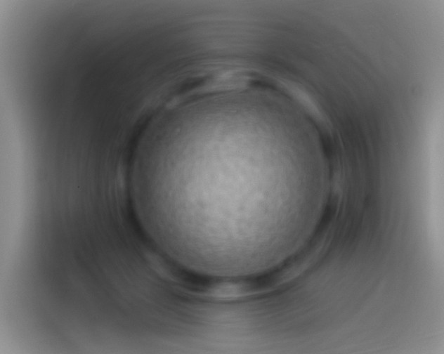 X0000114120461200910131407