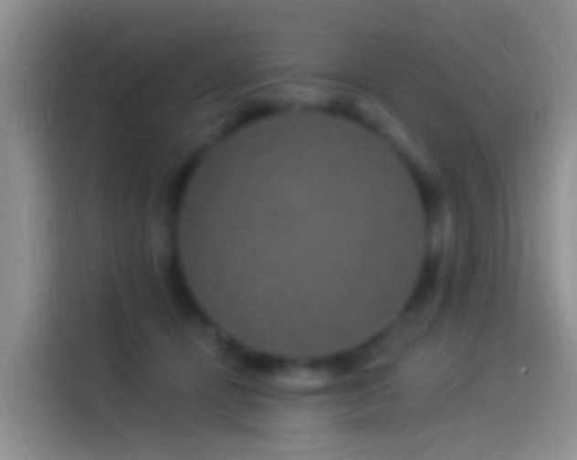 X0000114120464200910131407