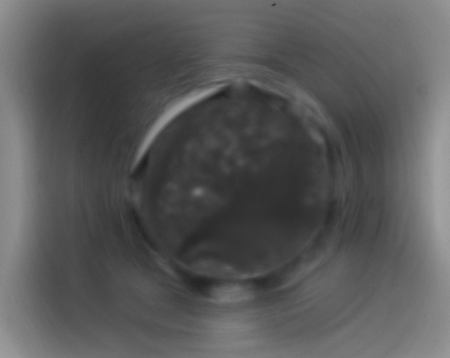 X0000114120465200910131407