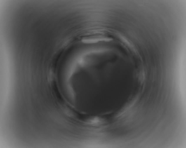 X0000114120467200910131407