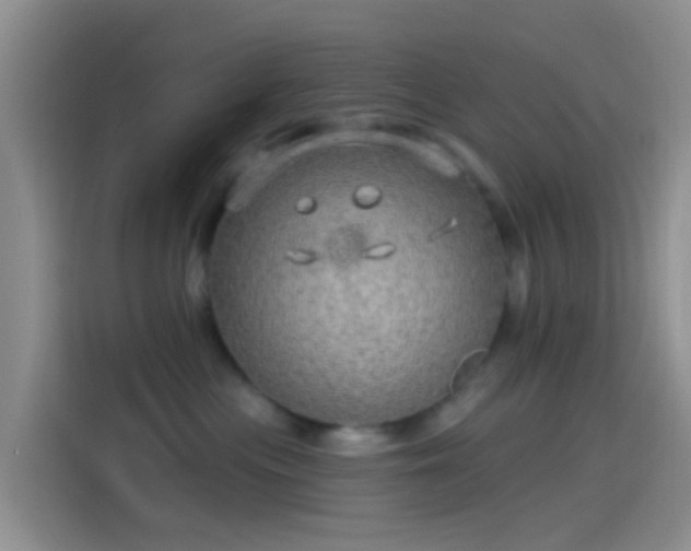 X0000114120477200910131407