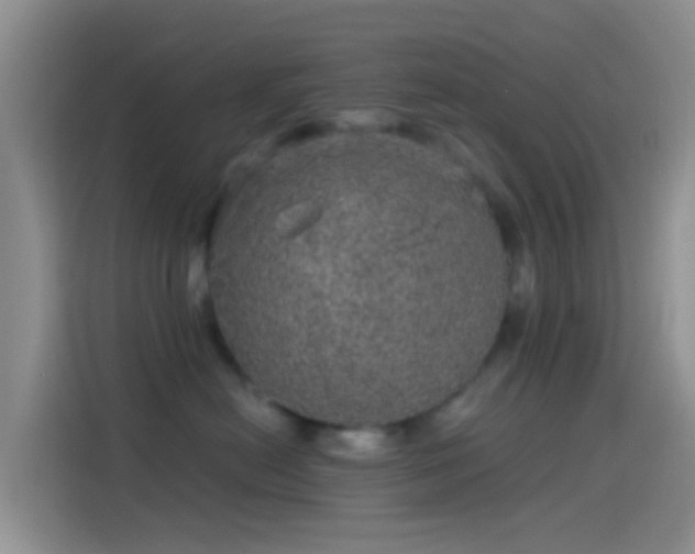 X0000114120478200910131407