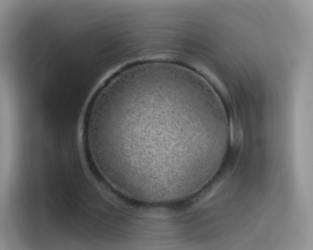 X0000114120483200910131407