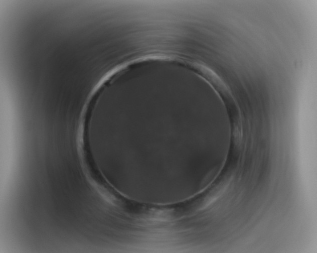 X0000114120484200910131407