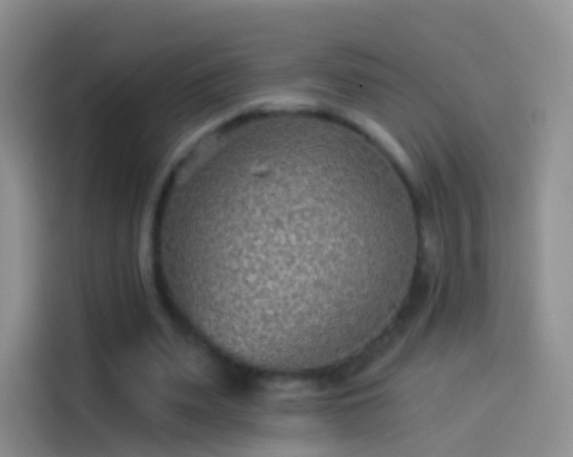 X0000114120487200910131407