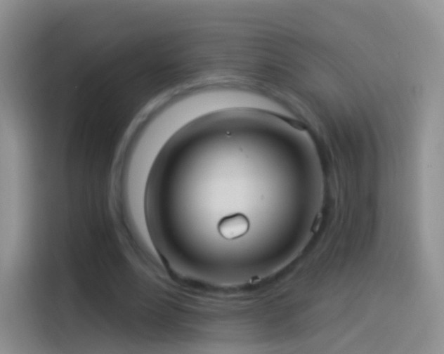 X0000114120488200910131407