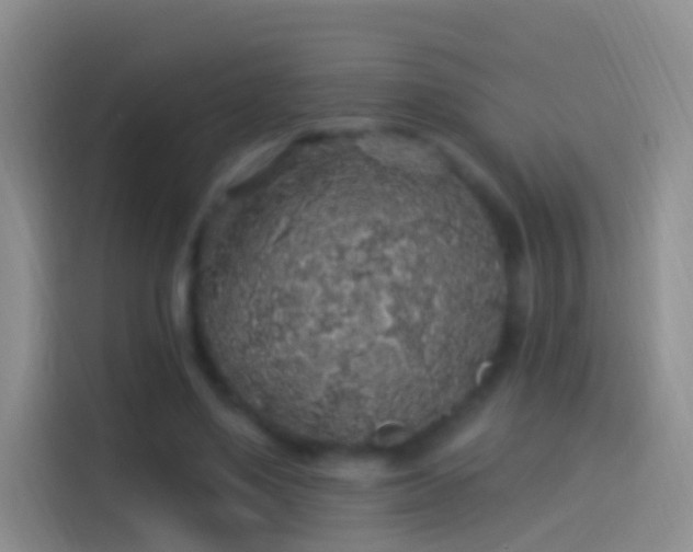 X0000114120491200910131407