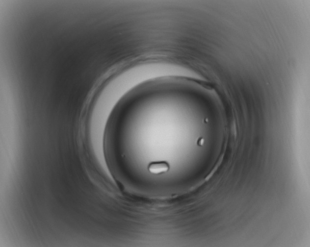 X0000114120492200910131407