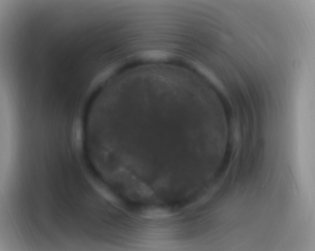 X0000114120494200910131406