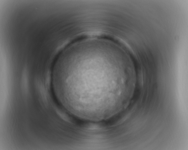 X0000114120495200910131406