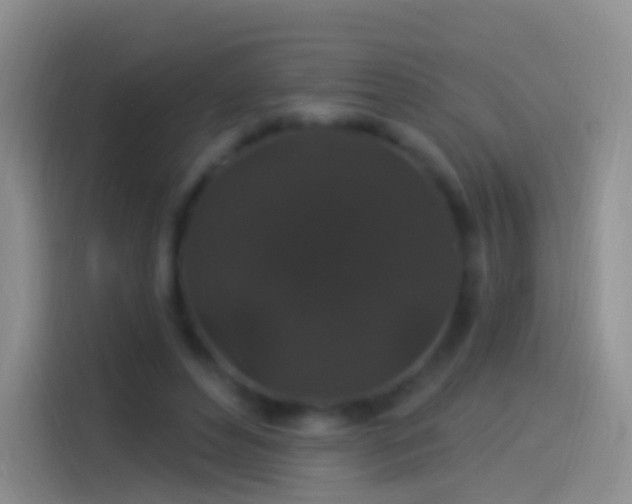 X0000114120496200910131406