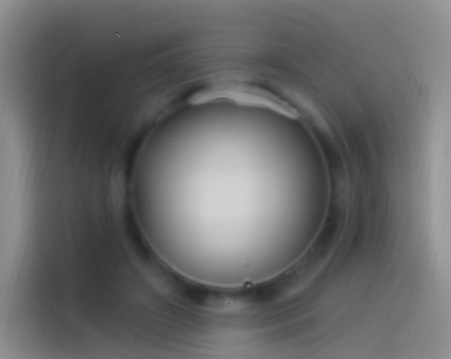 X0000114120498200910131406