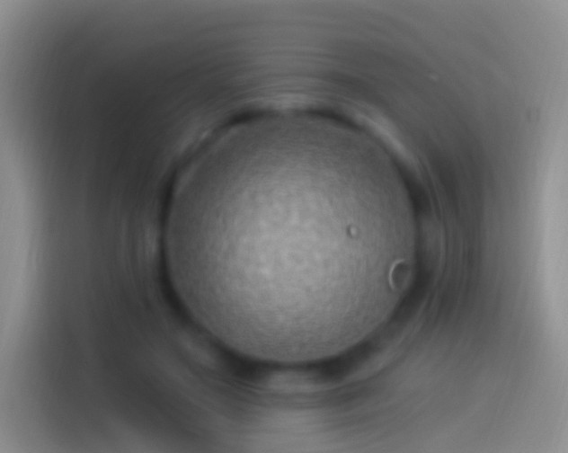 X0000114120499200910131406