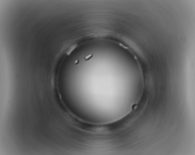 X0000114120501200910131406