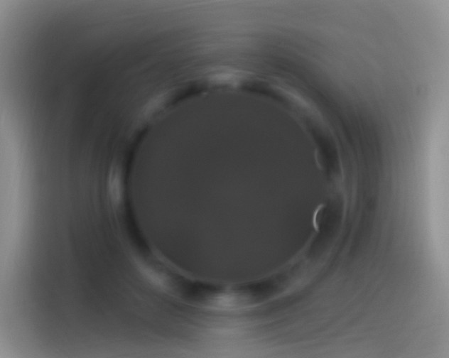 X0000114120504200910131406