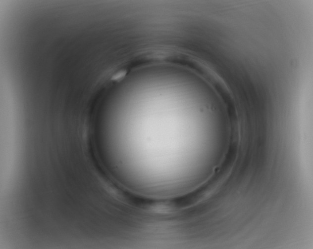 X0000114120505200910131406