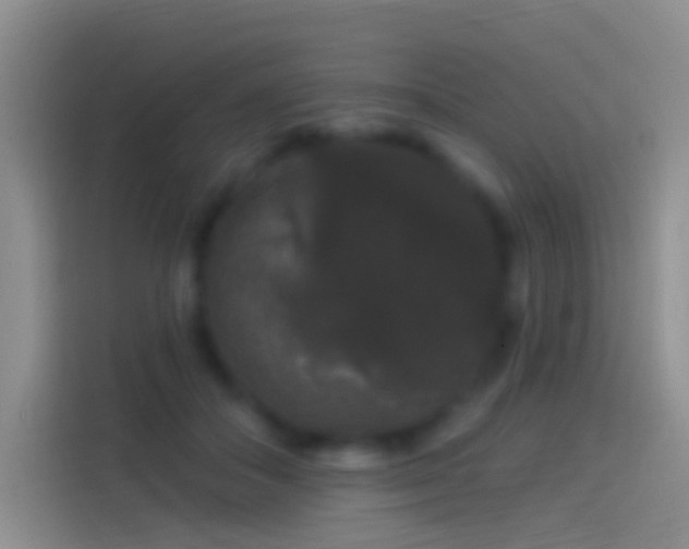 X0000114120506200910131406