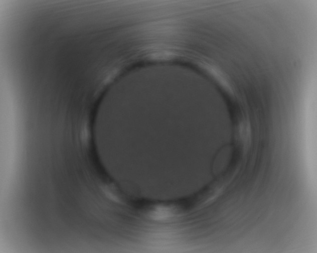 X0000114120508200910131406