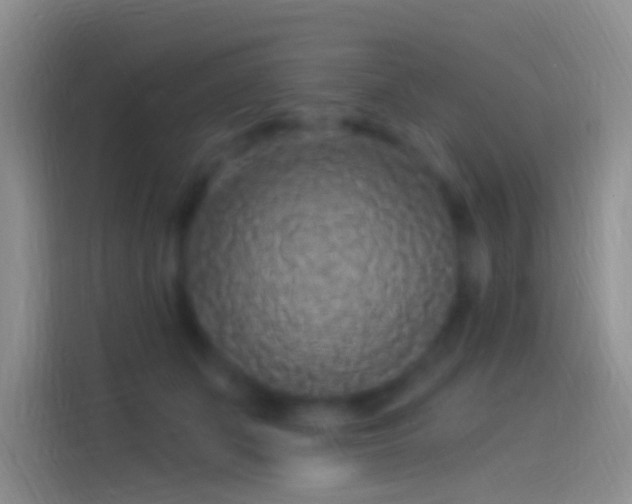 X0000114120511200910131406