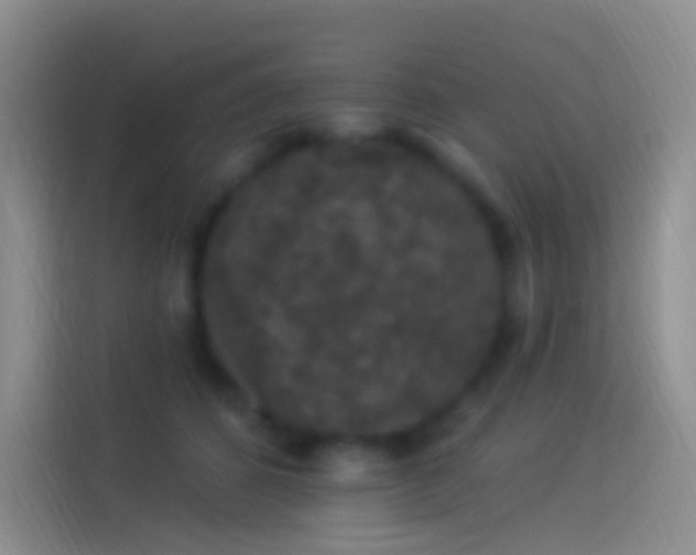 X0000114120512200910131406