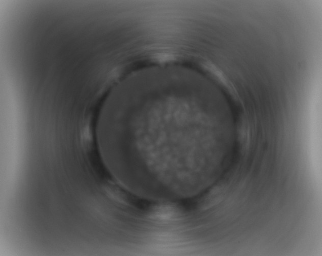 X0000114120516200910131406