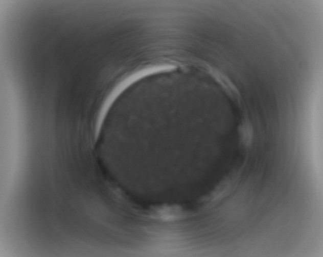 X0000114120517200910131406