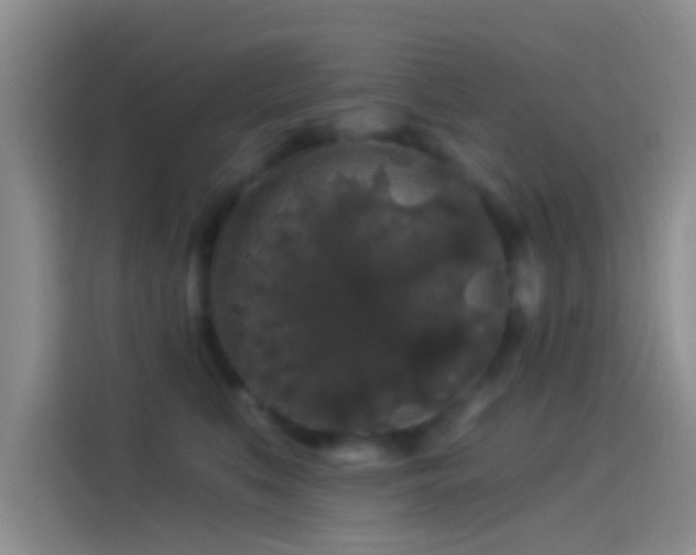 X0000114120519200910131406