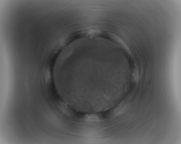 X0000114120520200910131406