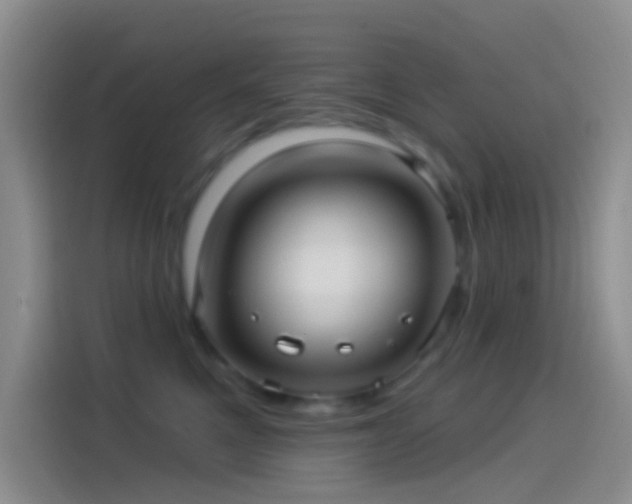 X0000114120521200910131406