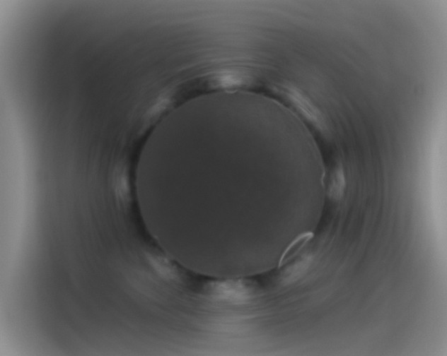 X0000114120524200910131406