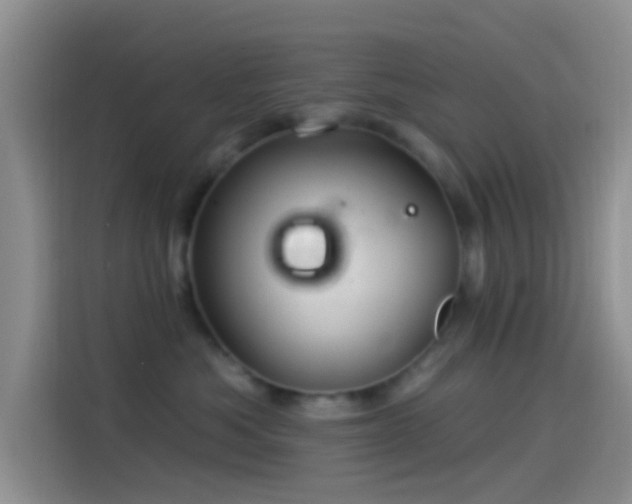 X0000114120525200910131406