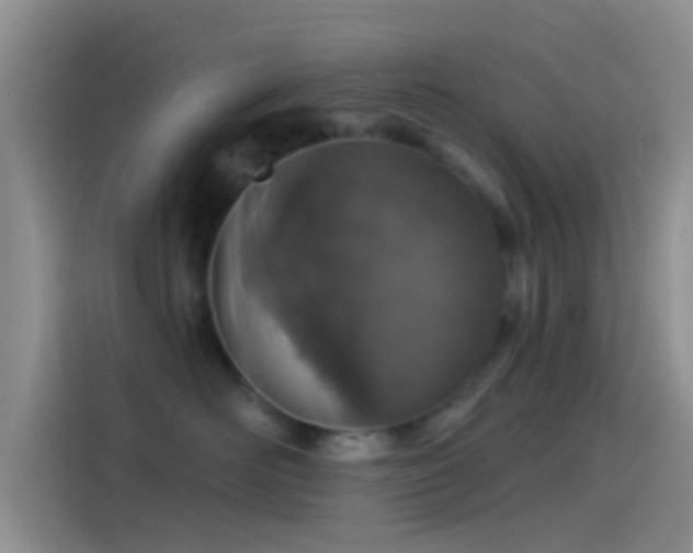 X0000114120526200910131406