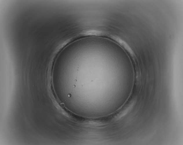 X0000114120529200910131405