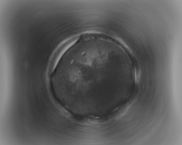 X0000114120531200910131405